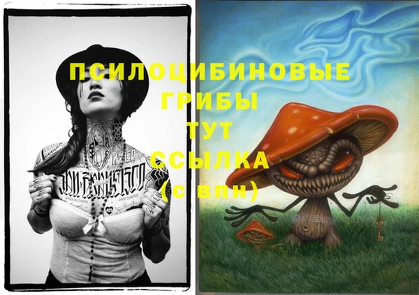 хмурый Покров