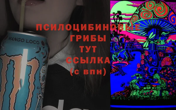 хмурый Покров