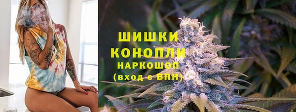 амф Покачи