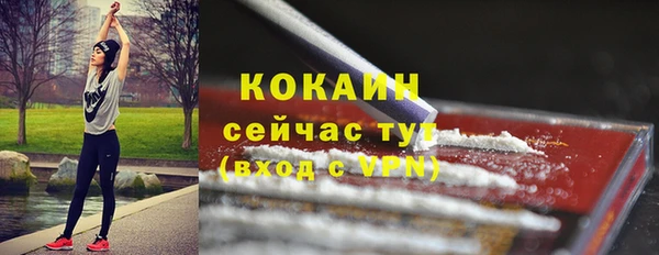 хмурый Покров