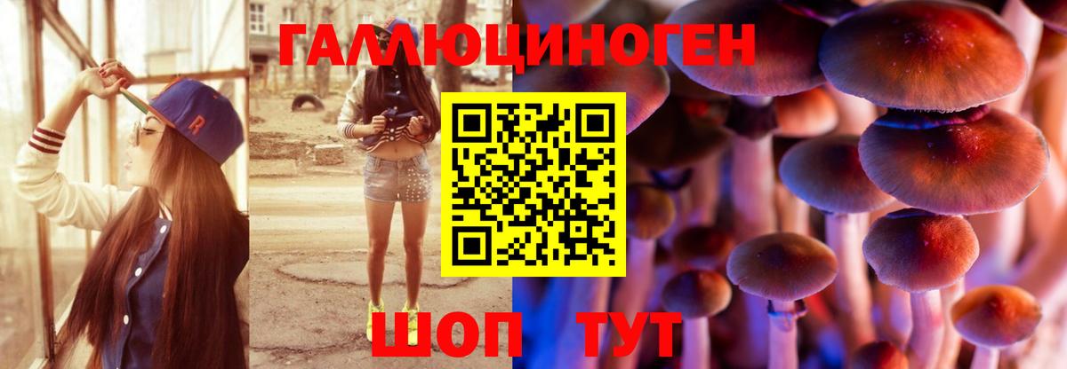 Галлюциногенные грибы GOLDEN TEACHER Светлоград