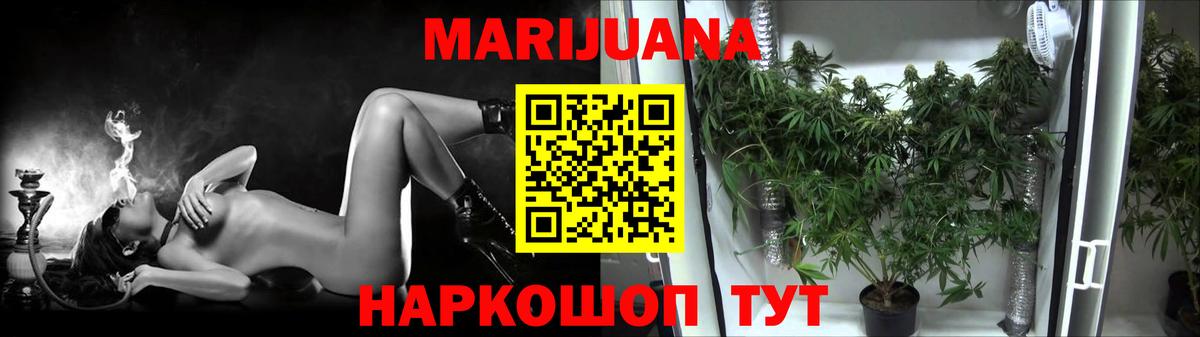 Шишки марихуана план  Шишки марихуана THC 21%  Вход с VPN  Светлоград  Конопля SATIVA & INDICA 